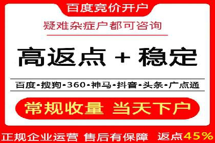 移动支付中充值返点模式探究